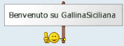 Gallina Siciliana 554533